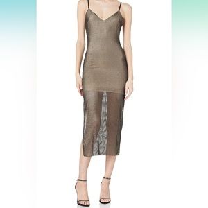 NWT Cosmopolitan mesh dress size XS